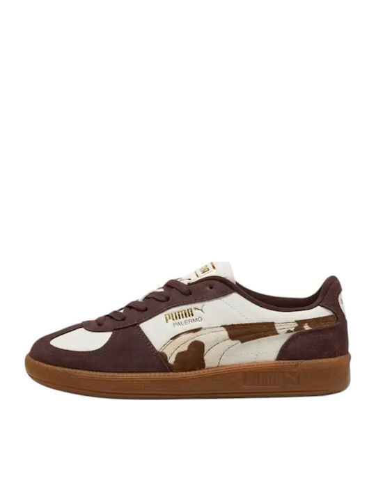Palermo Women's Sneakers Brown