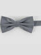 Cravată Papillon Argintie Bow08
