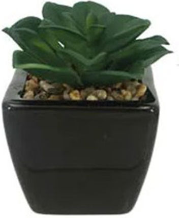 Decorative Potted Plant Green-Black 8x10cm Marhome 19325a