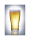 glassFORever Tulip Glass Cocktail/Drinking / Water / Beer Glass