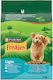 Friskies 3kg Ξηρά Τροφή Σκύλων Διαίτης με Κοτόπουλο και Λαχανικά