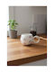 SteweHome Ceramic Multicolour Mug 200ml