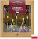 Freeze-dried Tea South Garden Organic 10 G Dary Natury