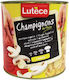 Lutece Μανιτάρια 2550gr