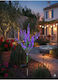 SteweHome Spiked Solar Flowerpot Light with Photocell