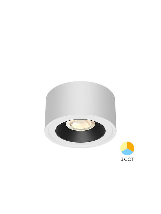 Braytron Spot with 10 Lights in White Colour