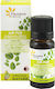 Essential Oil Blend Diffusion Clean Air Organic 10 Ml