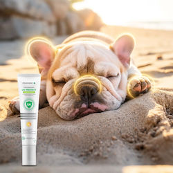 JMS Feuchtigkeitsspendende Gesichtscreme 15ml