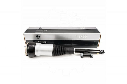 Gas Shock Absorber Mercedes-Benz S-Class 2223207313
