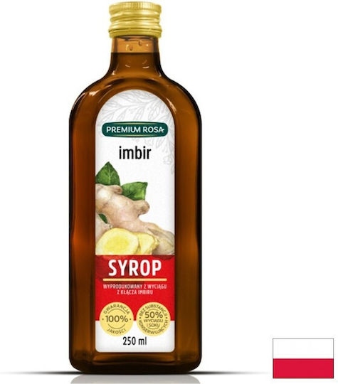 Premium Rosa Сироп за Коктейли с Вкус на Джинджифил 250ml