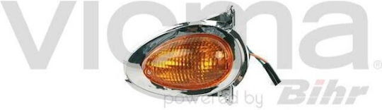 Vicma Linkes Blitzlicht 99-00