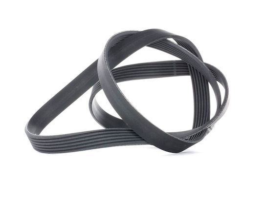 Contitech 6 Pk 1564 Multi-rib Belt