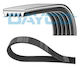 Dayco Curea de transmisie cu nervuri 5pk1013hd