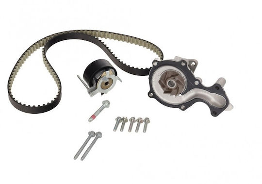 Satz Gürtel Zeitungs Hydraulikpumpe Ford Transit Connect 2013 1.0 2210970
