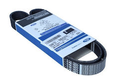 Poly-Rabdotos Gürtel Ford Kuga 1.5 Ecoboost 16 2040107 Poly-Rabdotos Gürtel Ford Kuga 1.5 Ecoboost 16 2040107