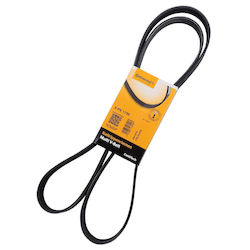 Contitech 6 Pk 1795 Multi-rib Belt Contitech 6 Pk 1795 Multi-rib Belt