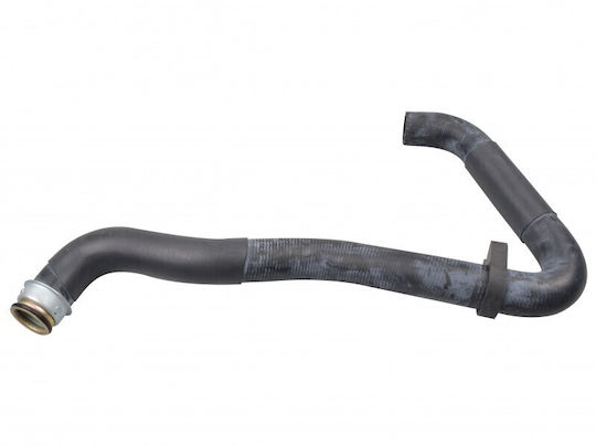 Furtun de Răcire Fiat Scudo Ulysse 95 Radiator Superior 2.0jtd 1343.ar