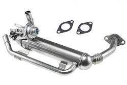 NTY Radiator EGR Auto pentru Volkswagen Caddy / Golf Plus / Golf / Passat Audi A3