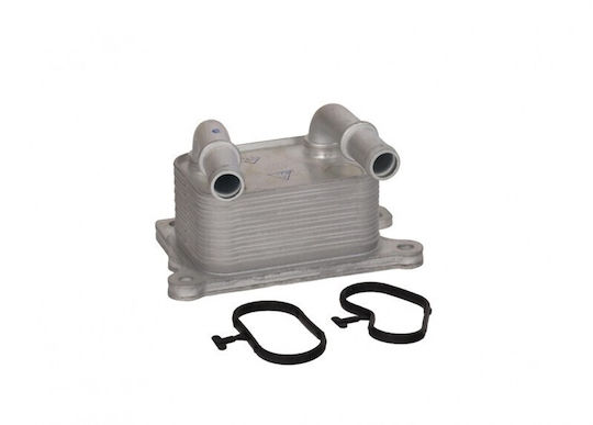 Radiator Ulei Renault Kangoo II 08 1.2 Tce 115 13 268247