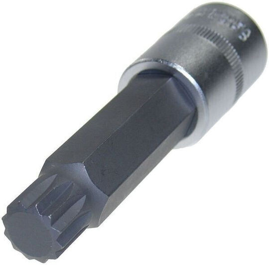Καρυδάκι 1/2 Ribe M11 X 100 Mm