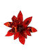 Weihnachtskranz Dekoration Alexandrinischer Roter