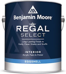 Benjamin Moore Primer 0.931lt