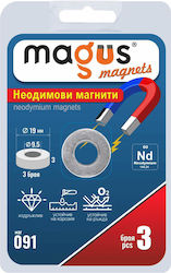 Neodymium Magnets Hole Ø19 Ø9.5 3mm 3pcs