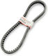 Curea De Transmisie Nmax125 155 21 Alter Ind