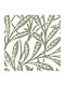 BetterHome Rollos für Schatten 2009-4 Partieller Blackout Breite 80 cm Höhe 80 cm MHB-TE2009-4-80x80