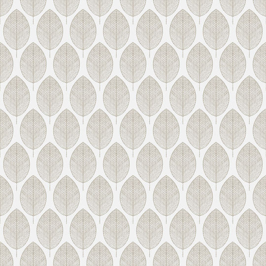 BetterHome Rollos für Schatten 2041-5 Partieller Blackout P80xH100cm MHB-TE2041-5-80x100