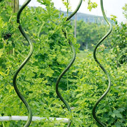 Arac Spiral Din Oțel Pentru Plante Rossima Sr-11-150