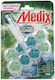 Medix Block Λεκάνης με Άρωμα Πεύκο