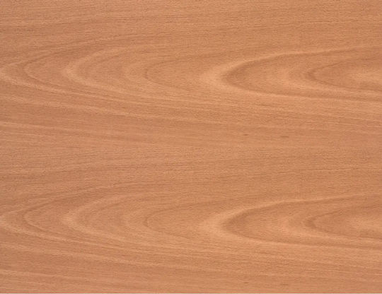 Laminate Trd Elite – 496 Carolina Beech Καφέ 1 Συσκευασία = 1.66τμ