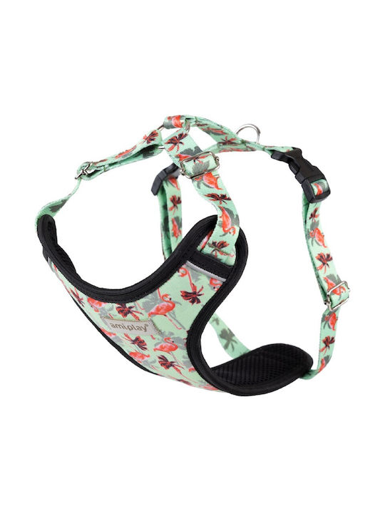 Amiplay Harness Discovery Be Happy Large