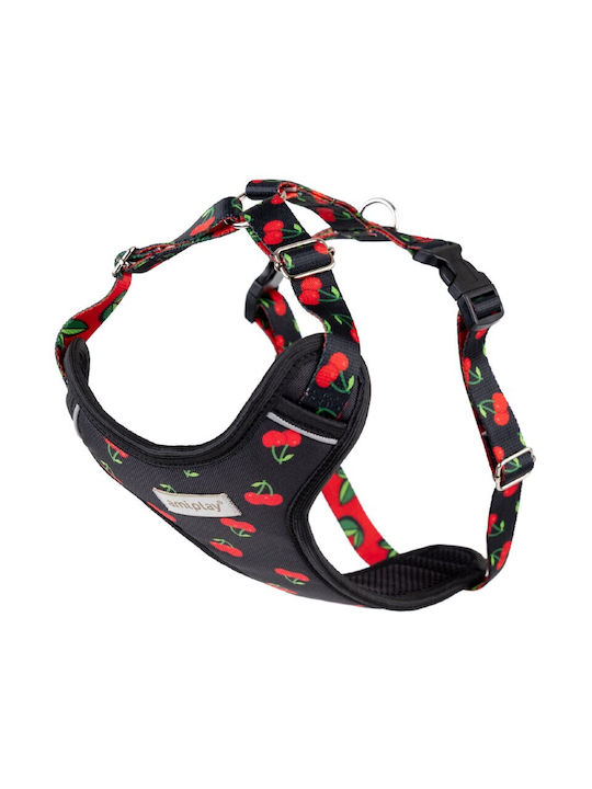 Dog Harness Amiplay Harness Discovery Be Happy ...