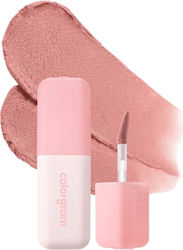 Colorgram Lipstick Satin 5gr