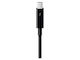 Apple Thunderbolt-Kabel Schwarz 0,5m MF640LL/A