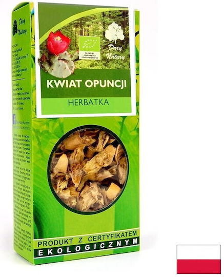 Weight Control Prickly Pear Flower 25 G Dary Natury