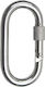 Stainless Steel Oval Carabiner Screw Lock 6x60mm