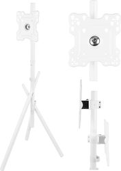 Maclean Energy MC-181 W Floor TV Mount up to 55" and 60kg White