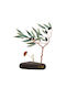 Alexandros Handmade Tabletop Decor Olive Woman Wind 20x25