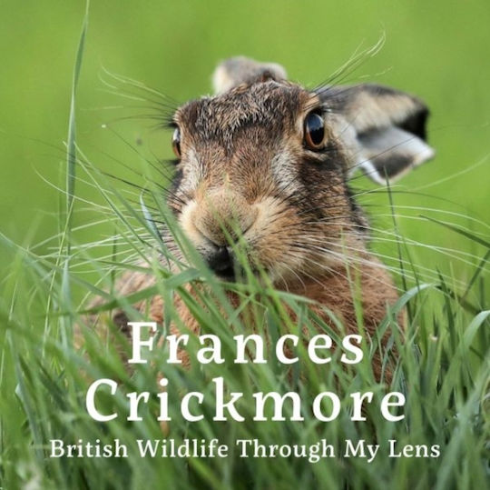 Frances Crickmore - British Wildlife Through My Lens - Graffeg Limited - Hardback