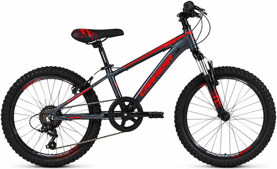 Carrera Mountain Bike Pentru Copii 20" cu Cadru din Aluminiu (2026) Gri