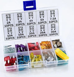 Set of 100 Mini Car Fuses 2a-30a Storage Box