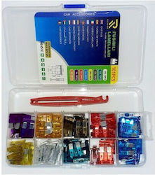 Set of 101 Car Fuses of Various Types Extraction Tool
