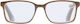 Mode Roy Reading Glasses +3.50 In Beige Colour 42000340