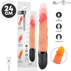 Intense Up & Down Vibrator Vibrator Realist cu Control de la Distanță 24cm Albastru Intense Up & Down Vibrator Vibrator Realist cu Control de la Distanță 24cm Albastru