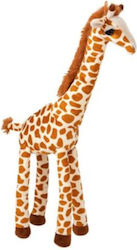Nature Planet Giraffe