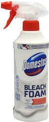 Alista Home Χλωρίνη σε Spray 435ml
