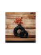 SteweHome Комплект Декоративни Вази Бетонени Черни 2 Бройки